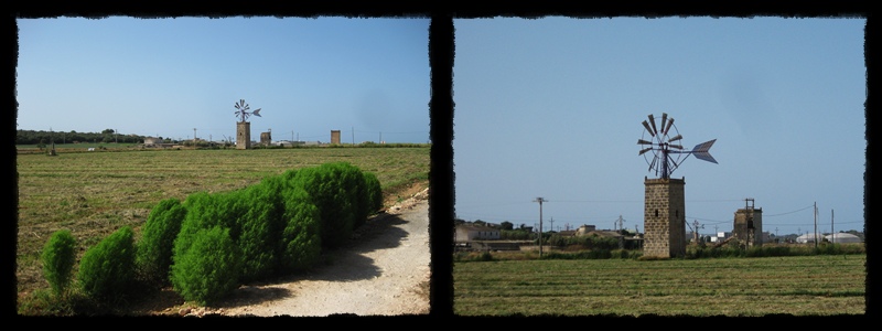 F004.jpg